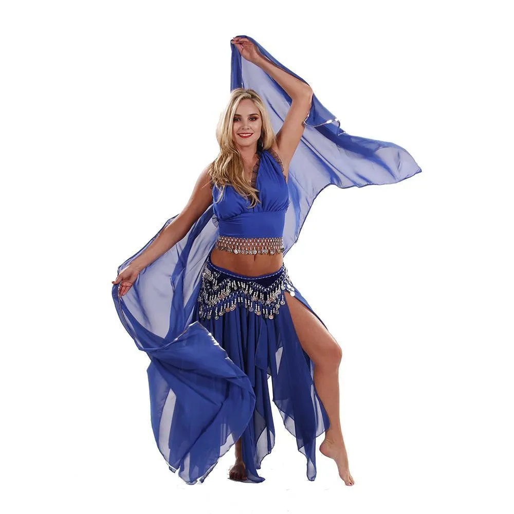 Belly Dance Skirt, Top, Veil, & Hip Scarf Costume Set | ELEGANCE