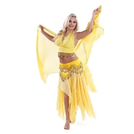 Belly Dance Skirt, Top, Veil, & Hip Scarf Costume Set | ELEGANCE