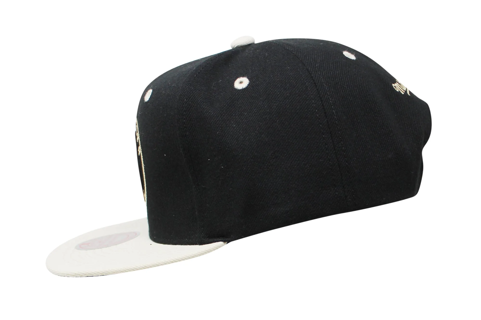 Mitchell & Ness Pin Drop Snapback Adjustable Cap